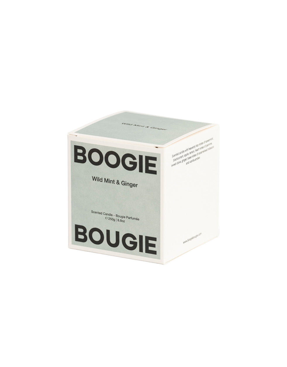 Scented Candle Wild Mint & Ginger