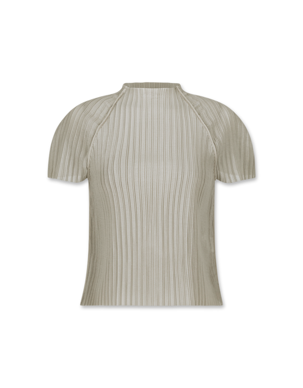 Pleats Raglan Top