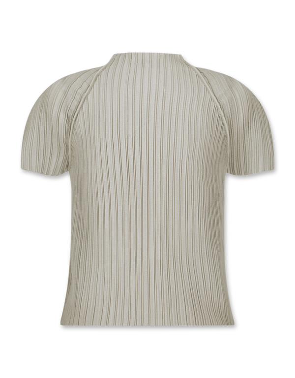 Pleats Raglan Top