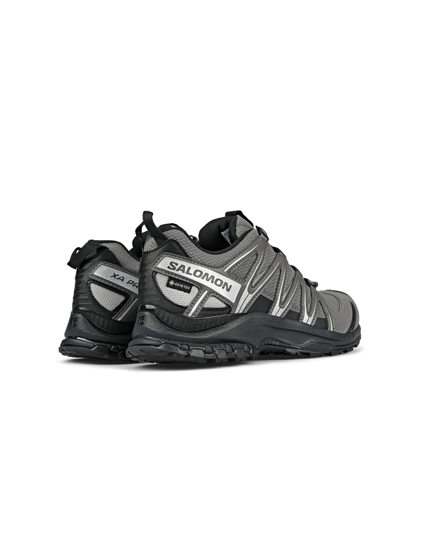 XA Pro 3D GORE-TEX