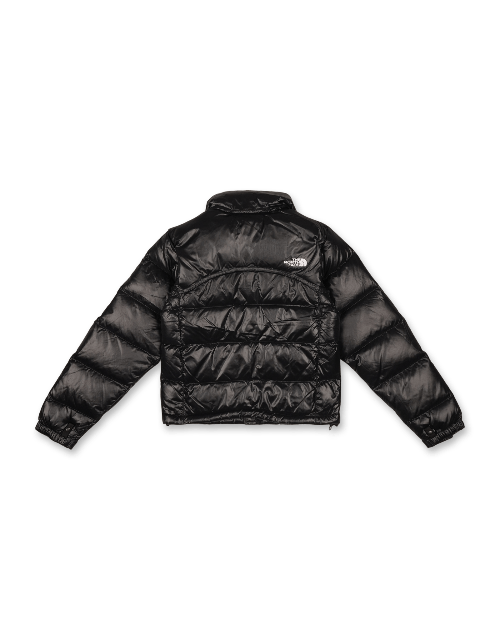 W 2000 Retro Nuptse Jacket