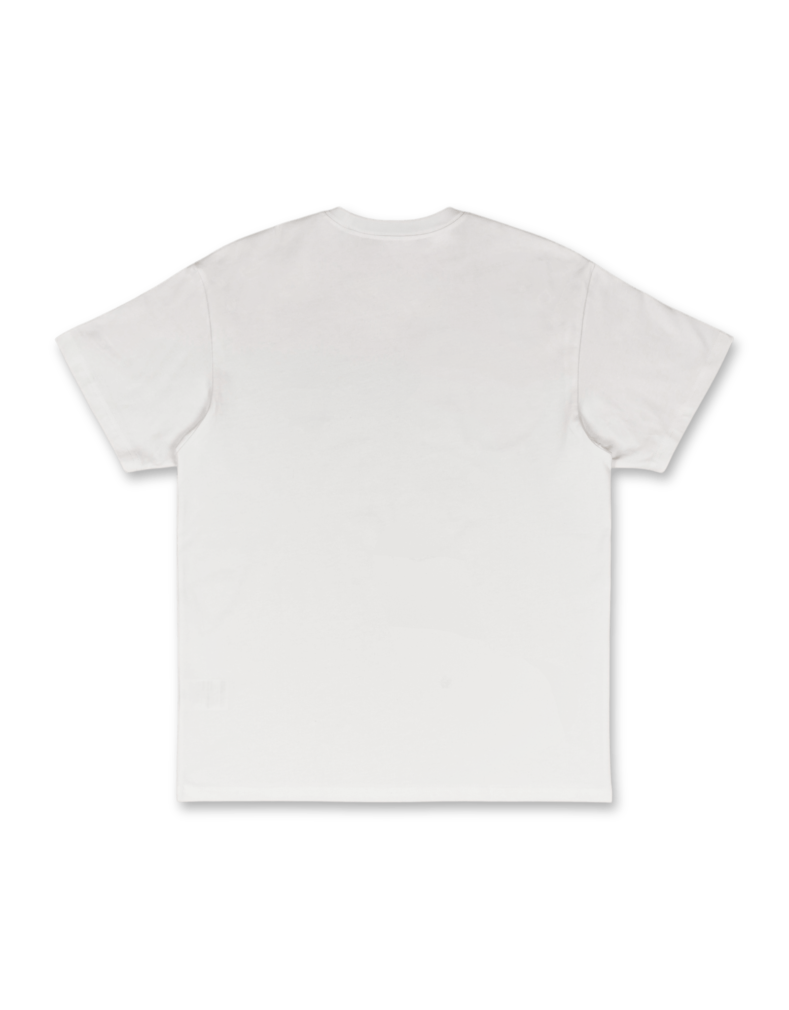 Carhartt WIP S/S Chase T-Shirt | Rezet Store