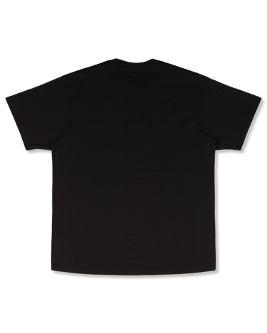 Carhartt WIP Script Embroidery T-Shirt | Rezet Store