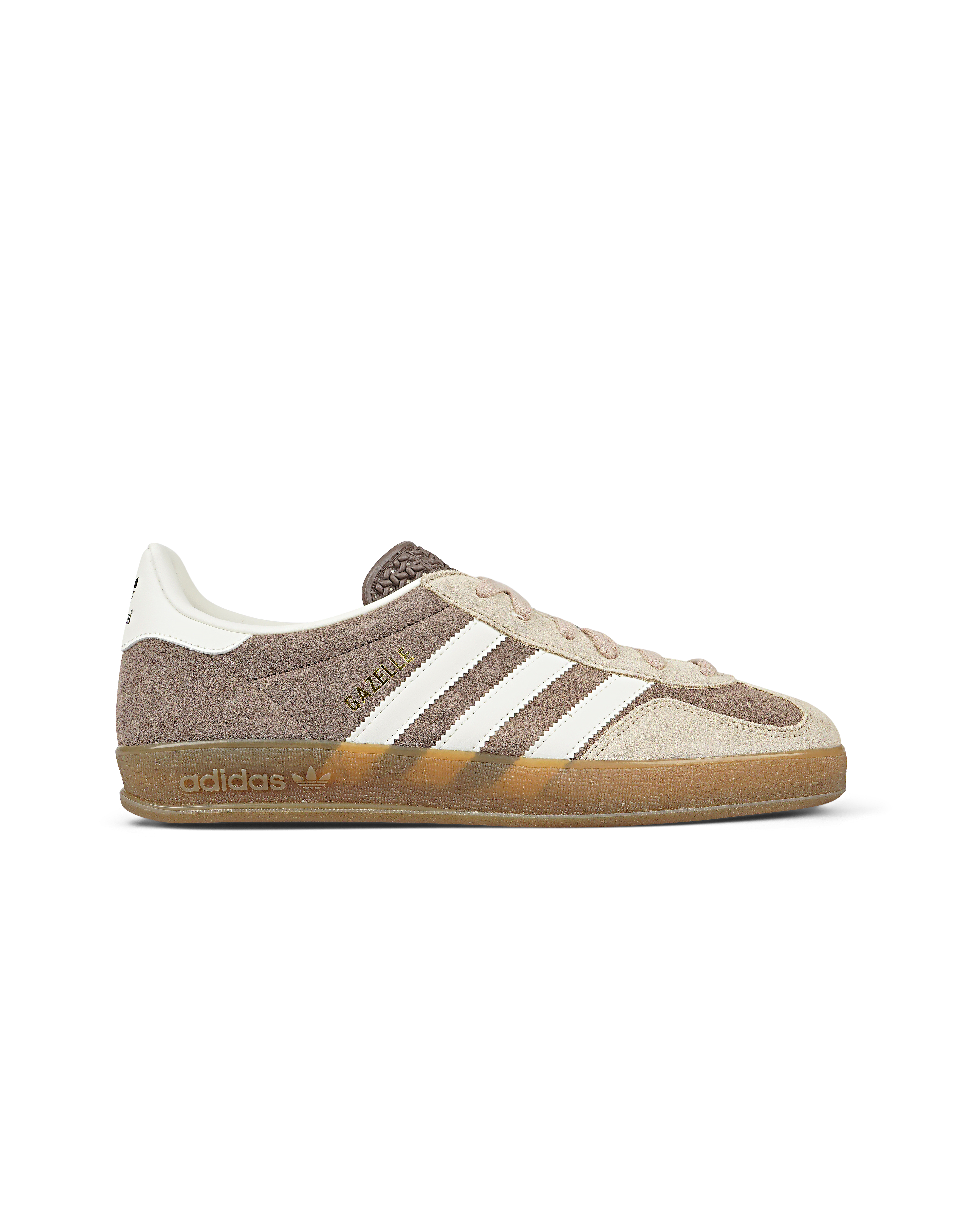 Gazelle Indoor