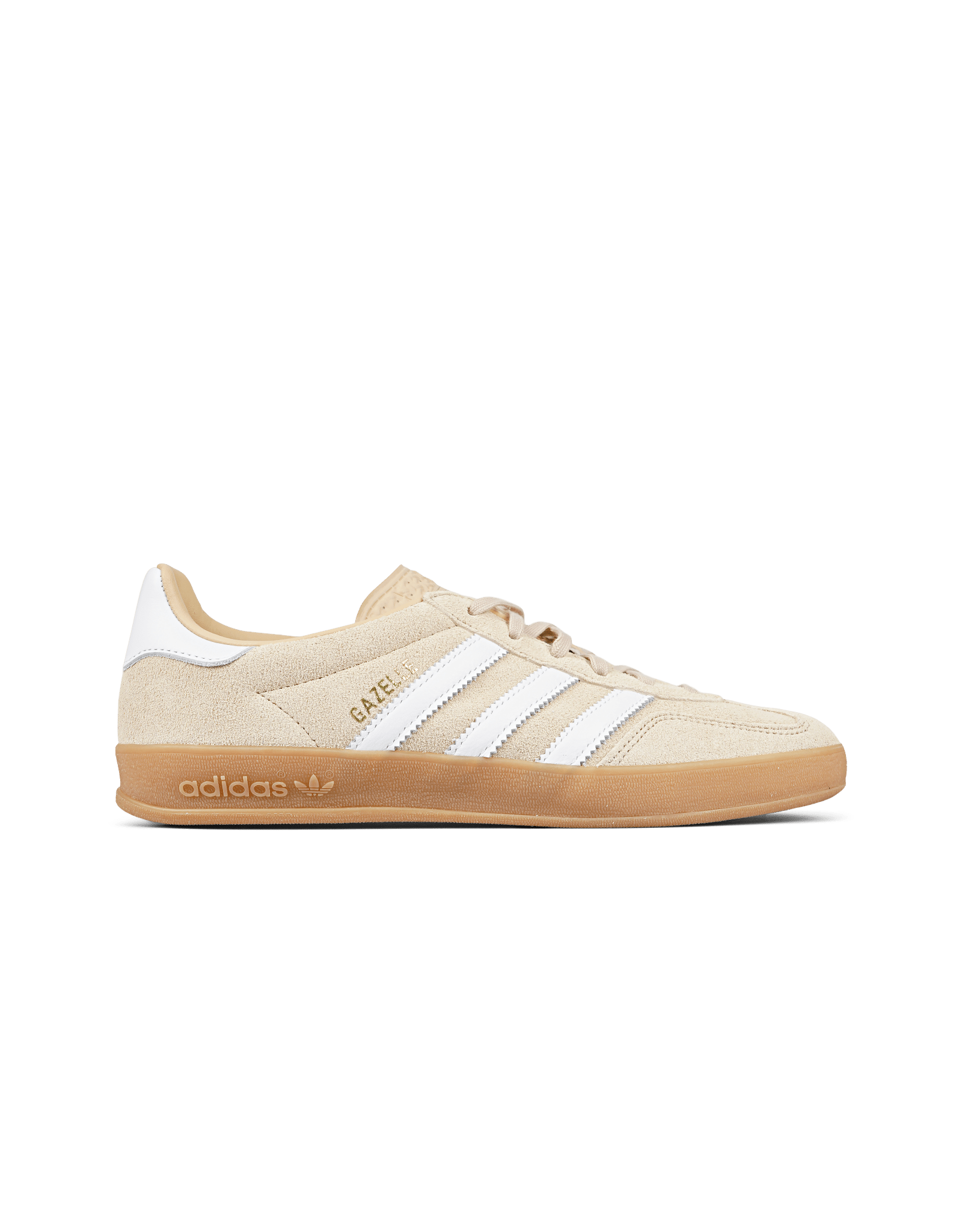 Gazelle Indoor