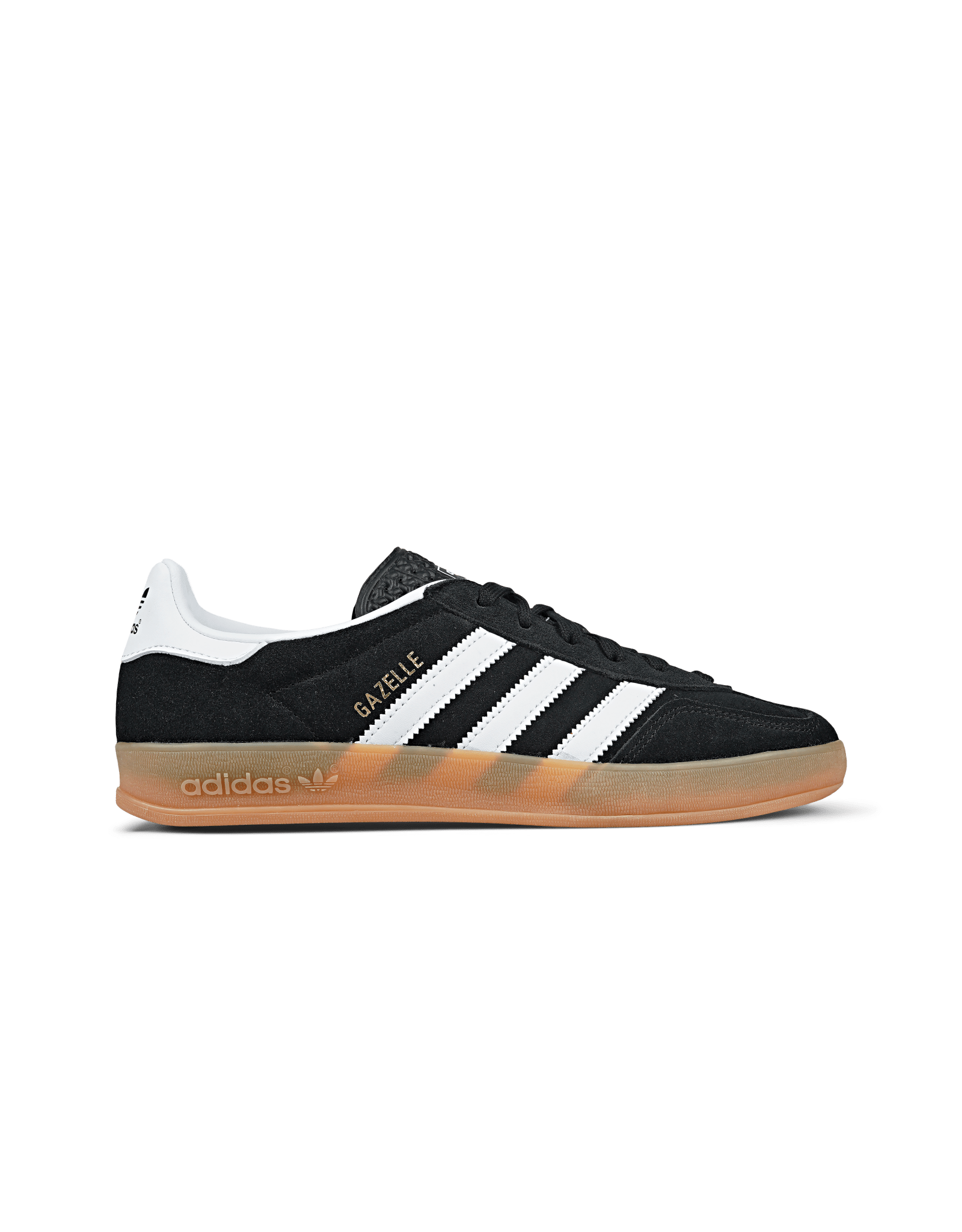 Gazelle Indoor