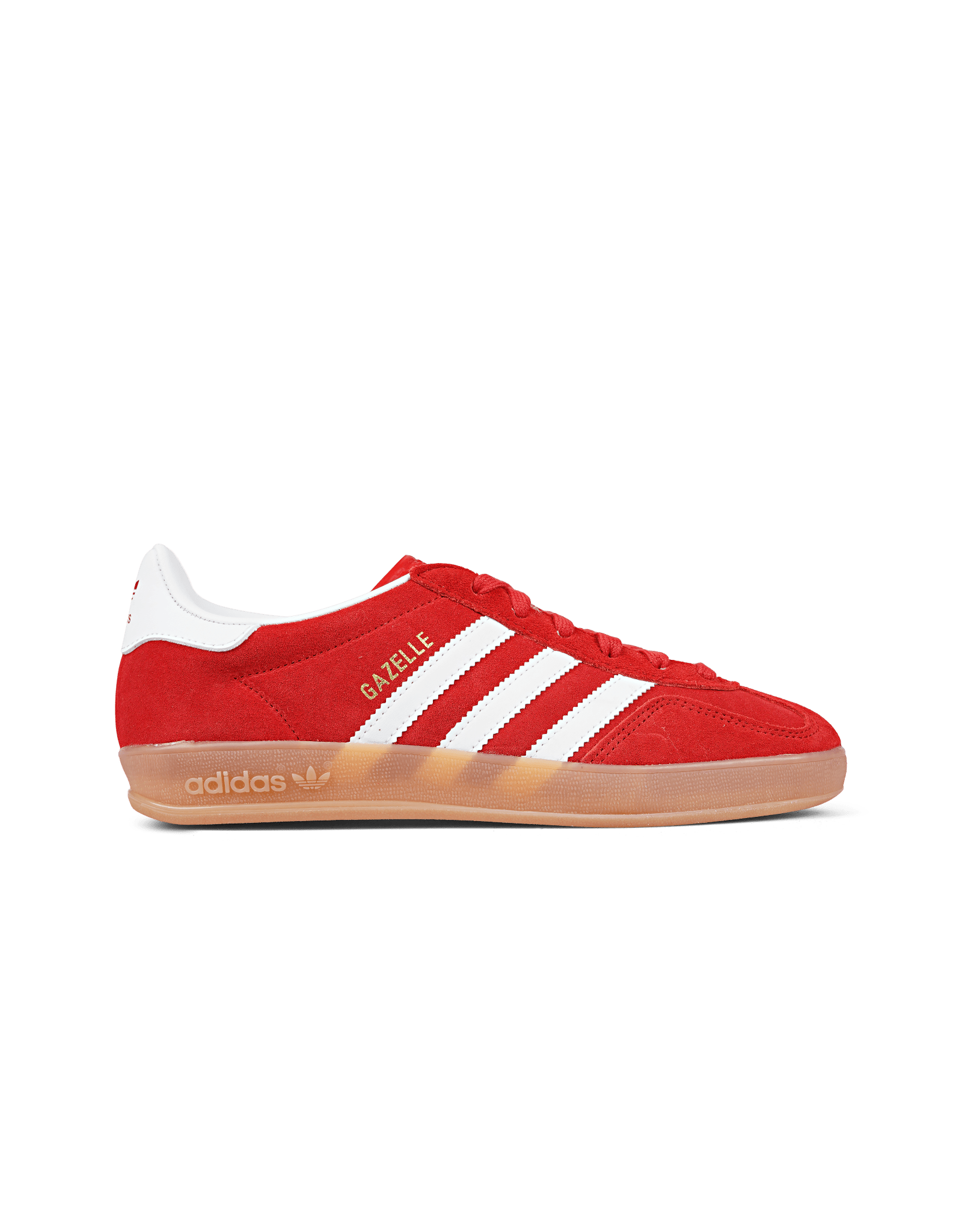 Gazelle Indoor