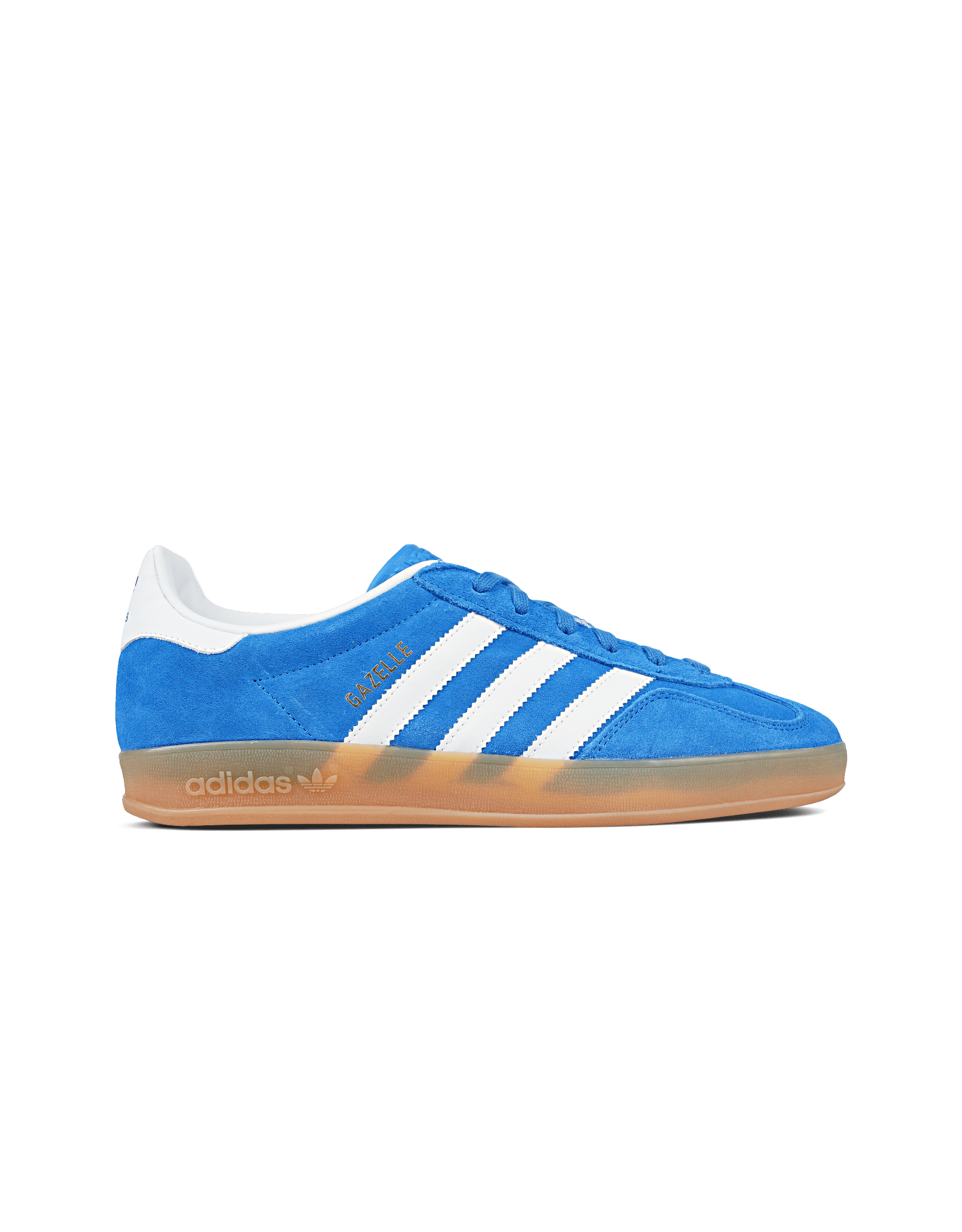 Gazelle Indoor