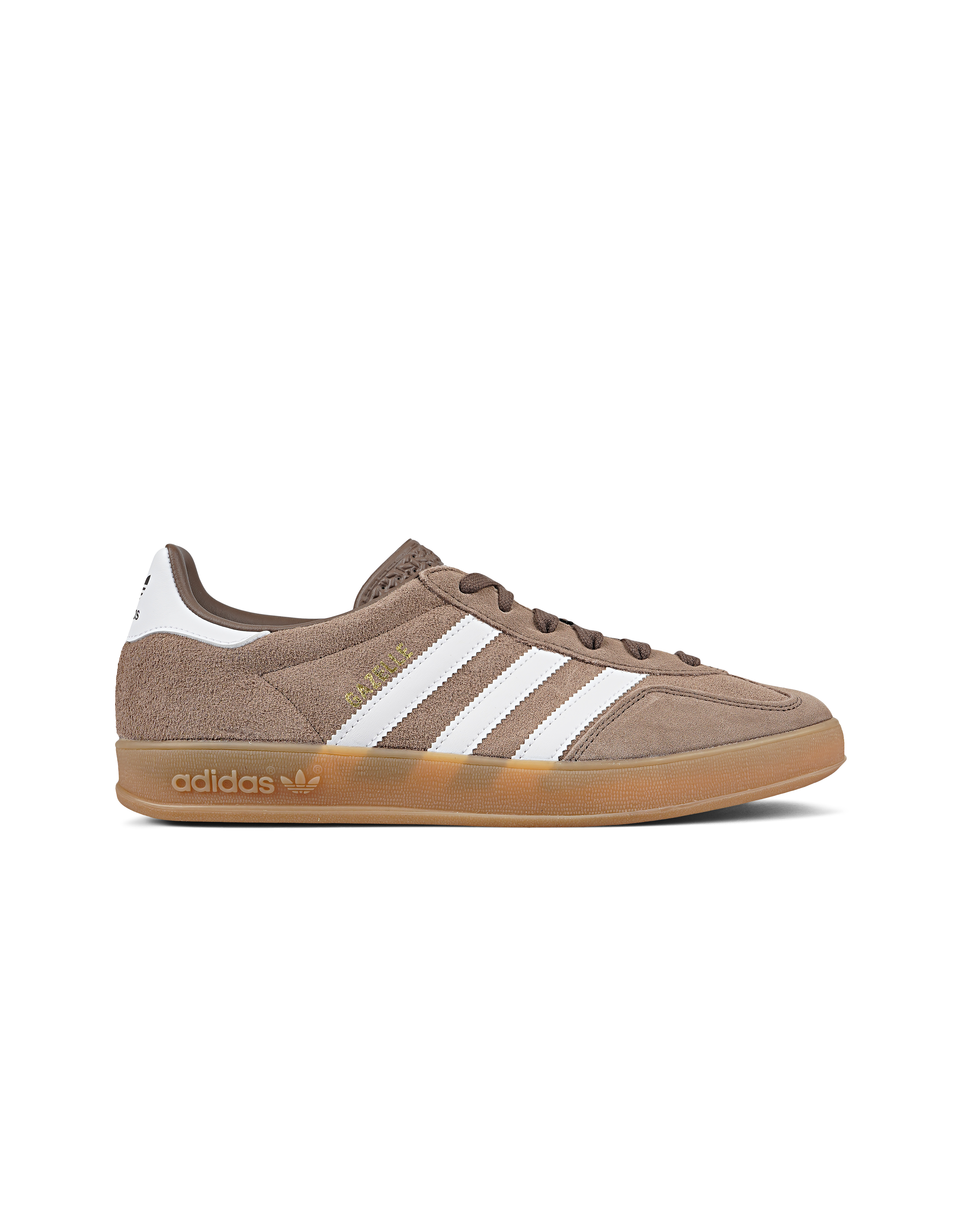 Gazelle Indoor