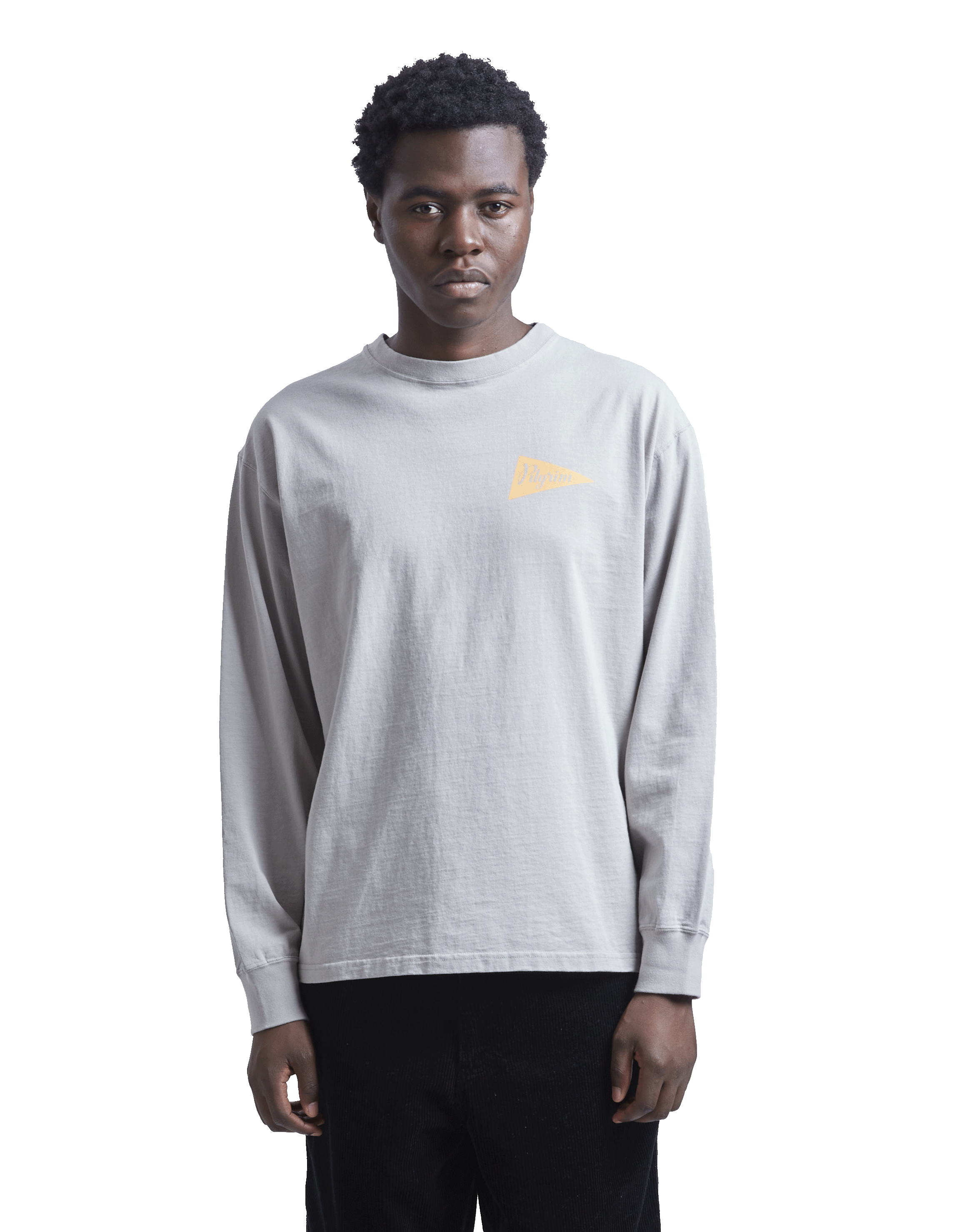 Longsleeve Pennant Team Tee