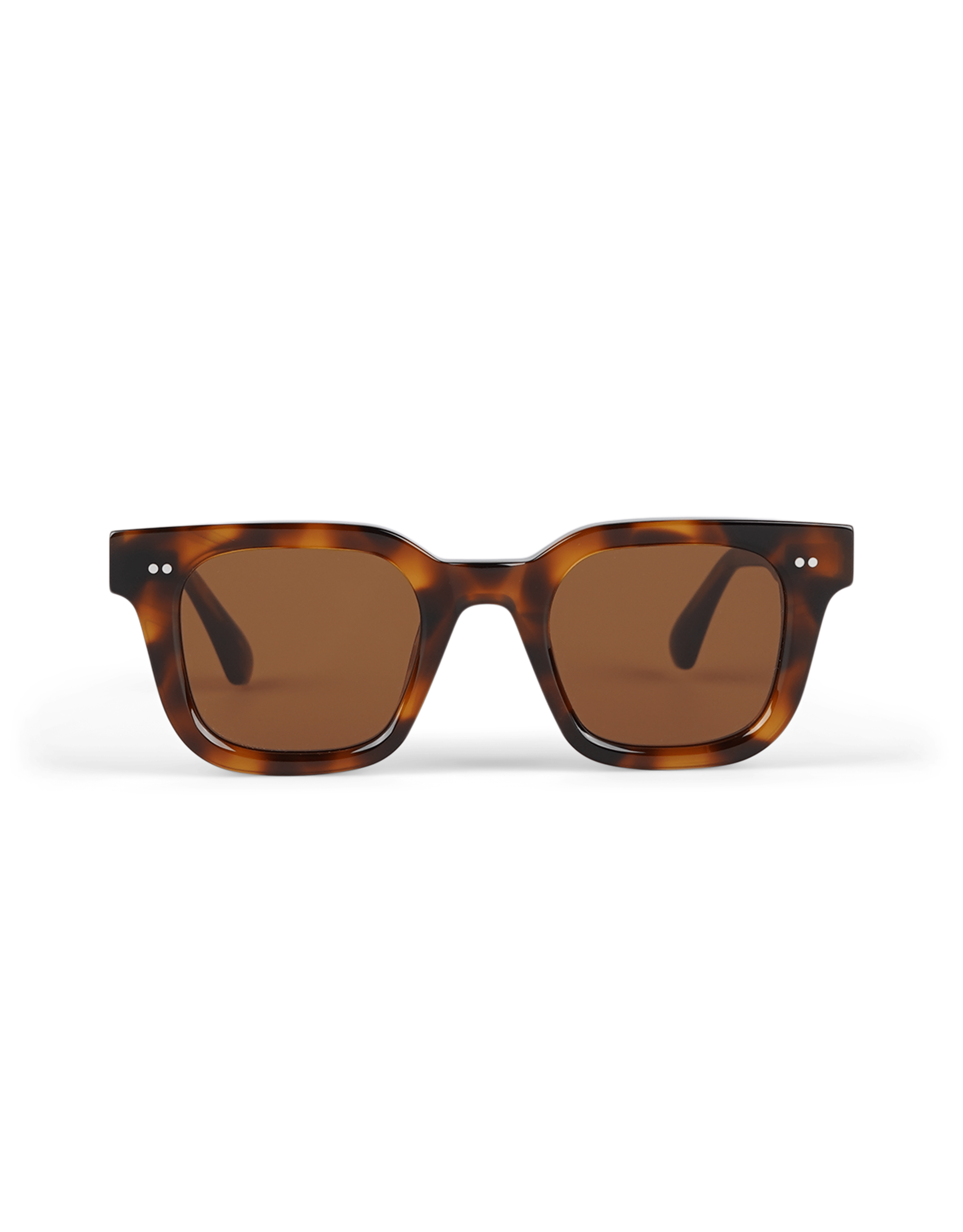 04.2 Tortoise
