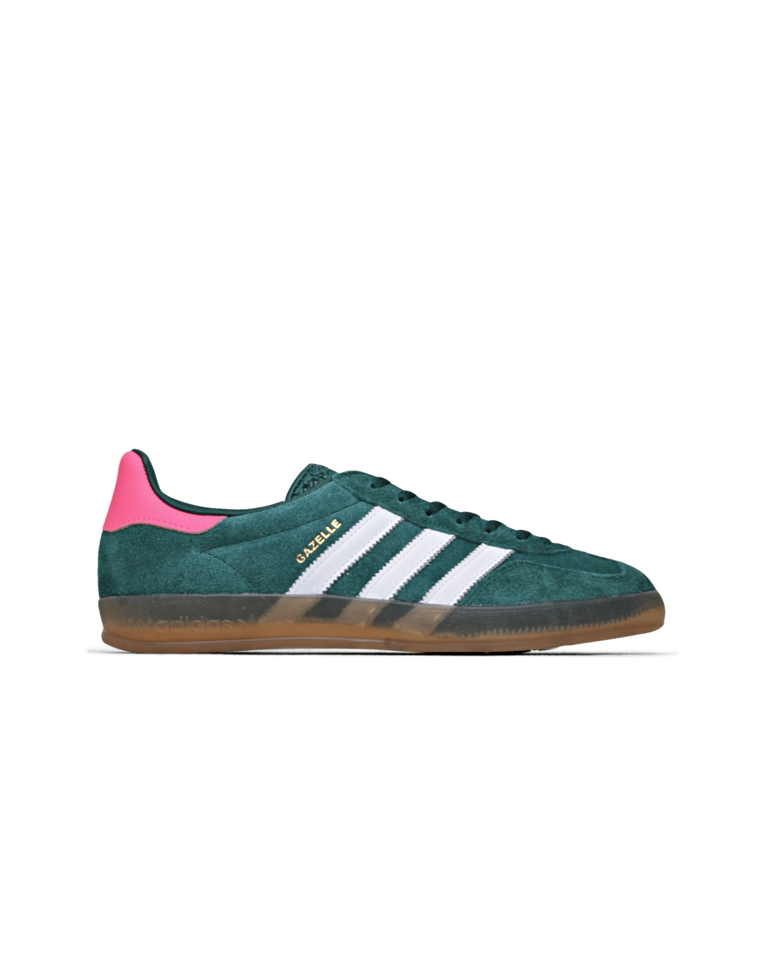 Gazelle Indoor