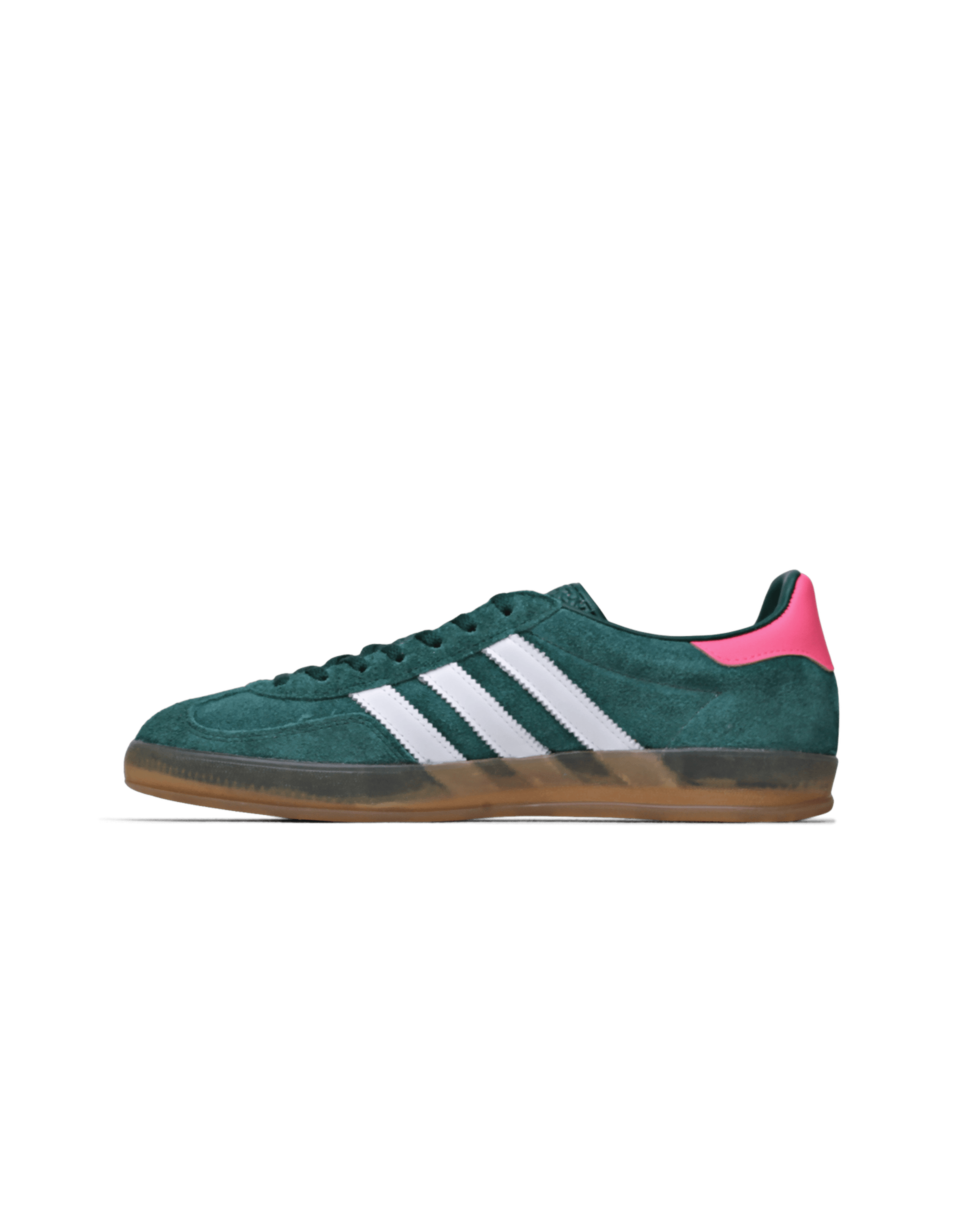 Gazelle Indoor