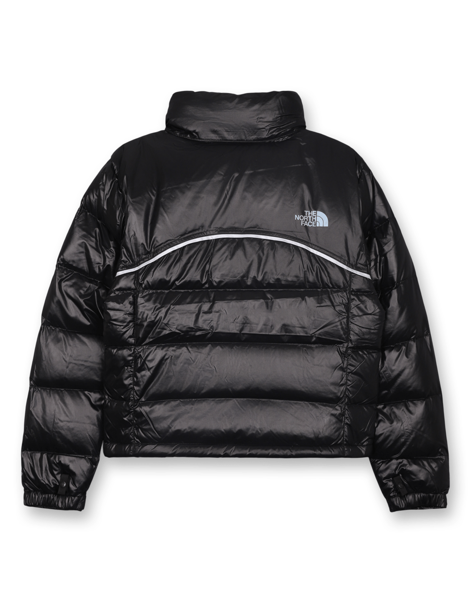 W' 2000 Retro Nuptse Jacket