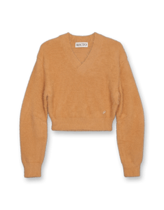 Long Hair V-Neck Knit Crop Top