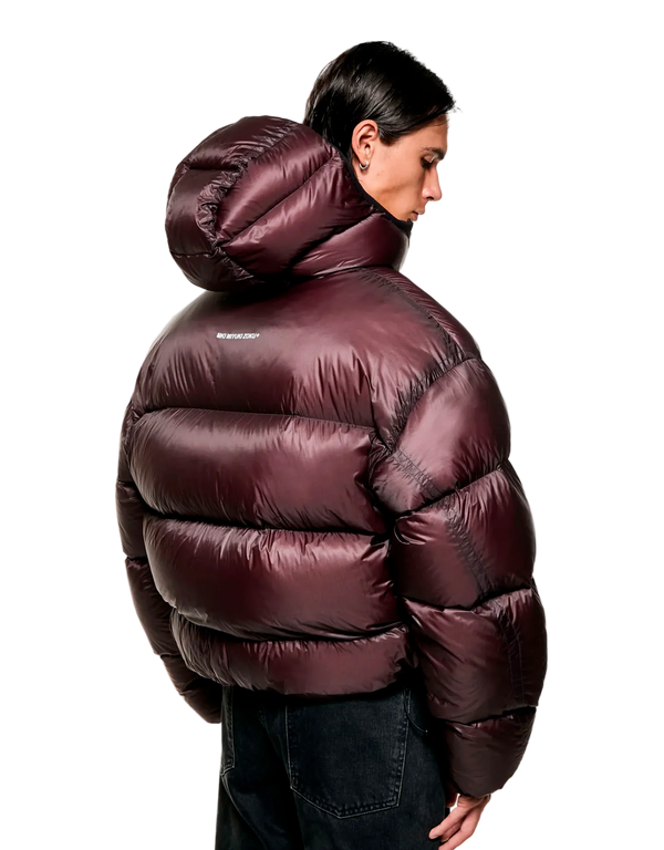 Translucent Hooded Bubble Jacket