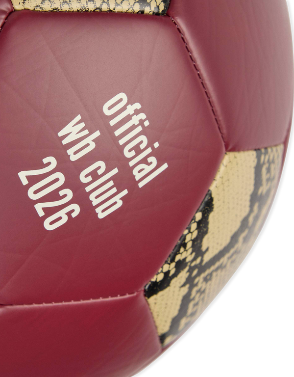 Wales Bonner Football Ball