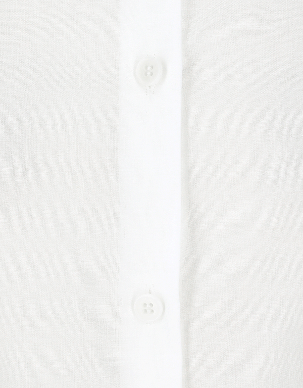 Sheer Slim Shirt