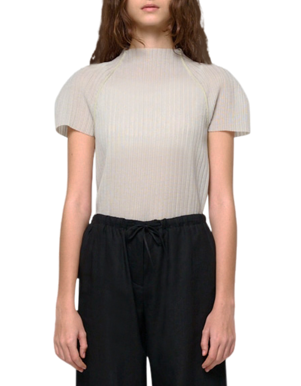 Pleats Raglan Top