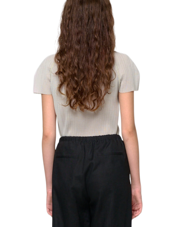 Pleats Raglan Top