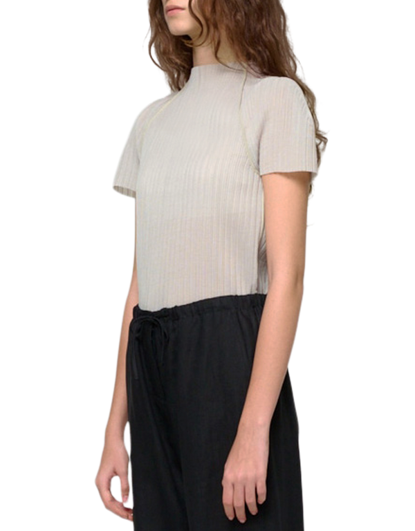 Pleats Raglan Top